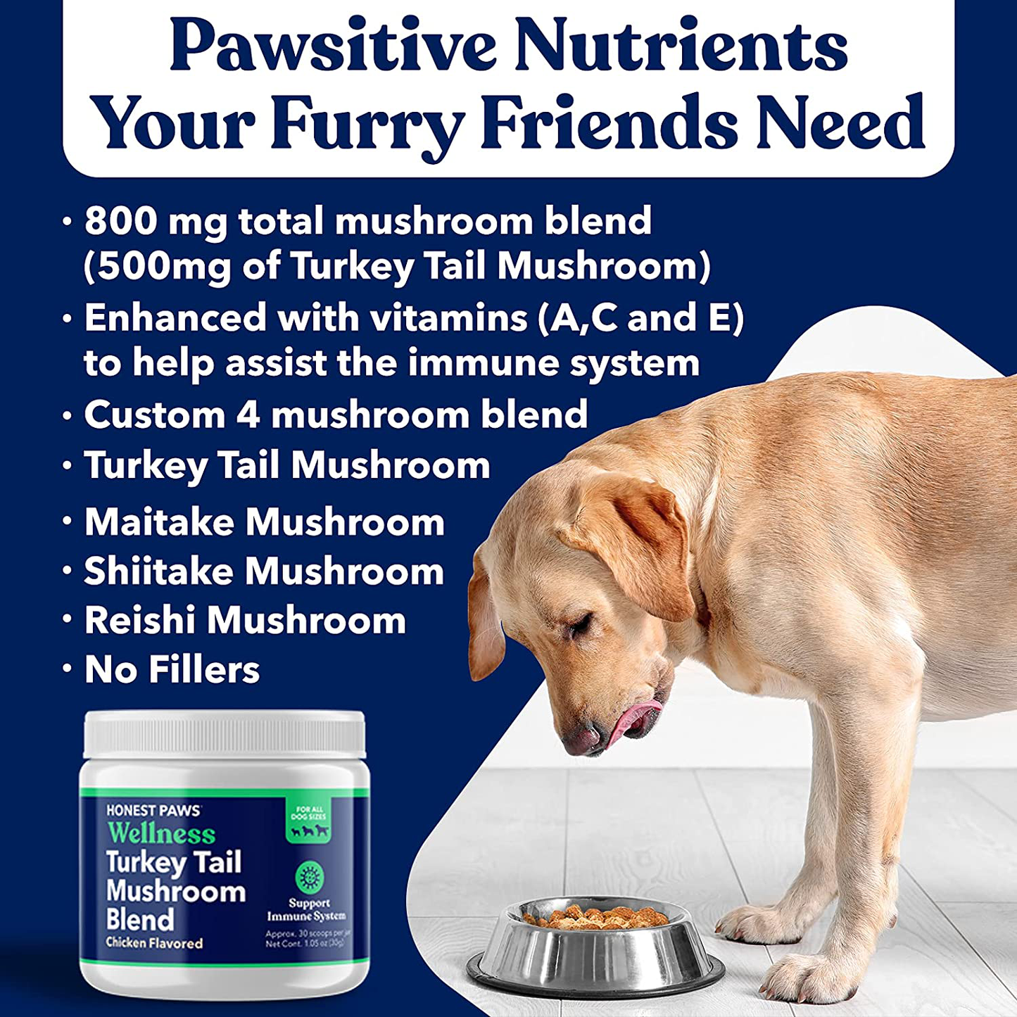 Honest Paws - Dog Turkey Tail Mushroom Blend - Made in USA - Digestive and Immunity Booster for Dogs - Shiitake, Reishi, Maitake Mushroom Extract Formula - No Filler, No Additives (1.5 oz)