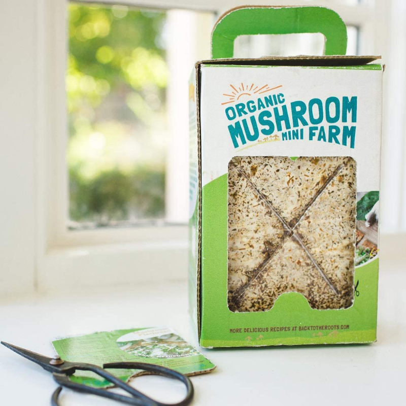 Organic Non-GMO Mushroom Grow Kit