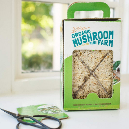 Organic Non-GMO Mushroom Grow Kit