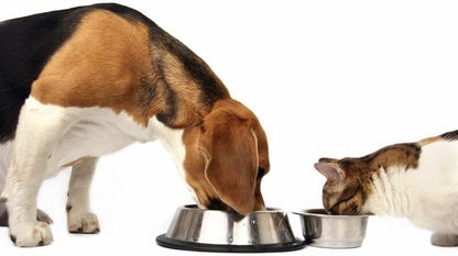 Dog Greens- Organic and Wild Harvested Vitamin and Mineral Supplement for Dogs - Add to Home Made Dog Food, RAW Food or Kibble