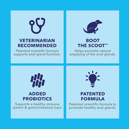 Glandex Anal Gland Soft Chew Treats with Pumpkin for Dogs 30ct Chews with Digestive Enzymes, Probiotics Fiber Supplement for Dogs – Vet Recommended - Boot The Scoot - by Vetnique Labs