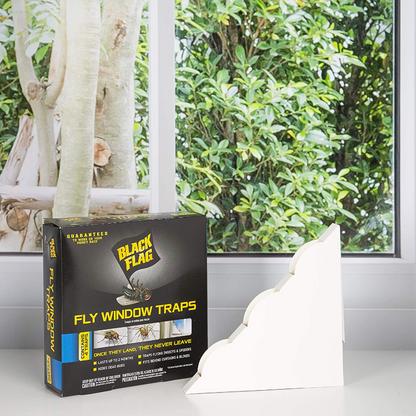 Black Flag 11017 HG-11017 Fly Window Trap, 4-count, Clear