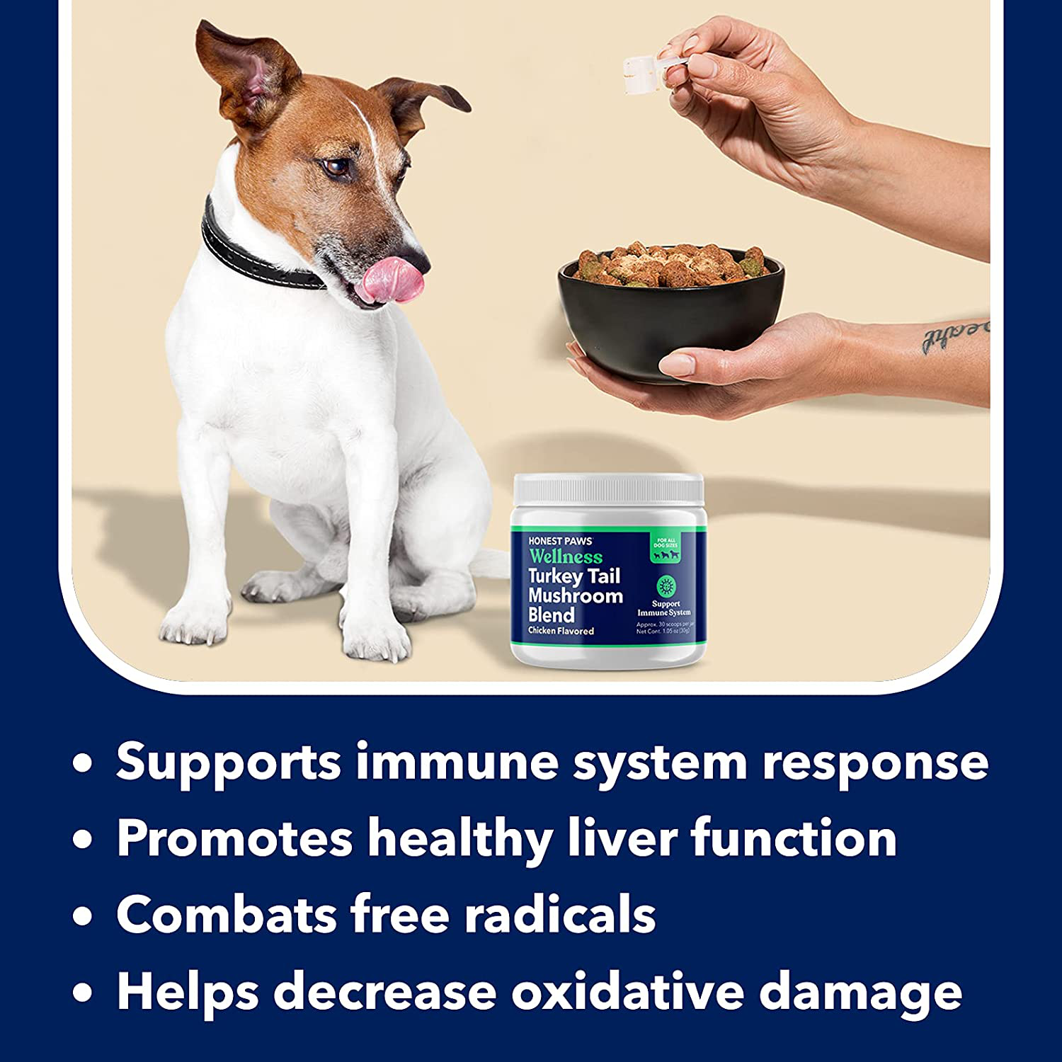 Honest Paws - Dog Turkey Tail Mushroom Blend - Made in USA - Digestive and Immunity Booster for Dogs - Shiitake, Reishi, Maitake Mushroom Extract Formula - No Filler, No Additives (1.5 oz)