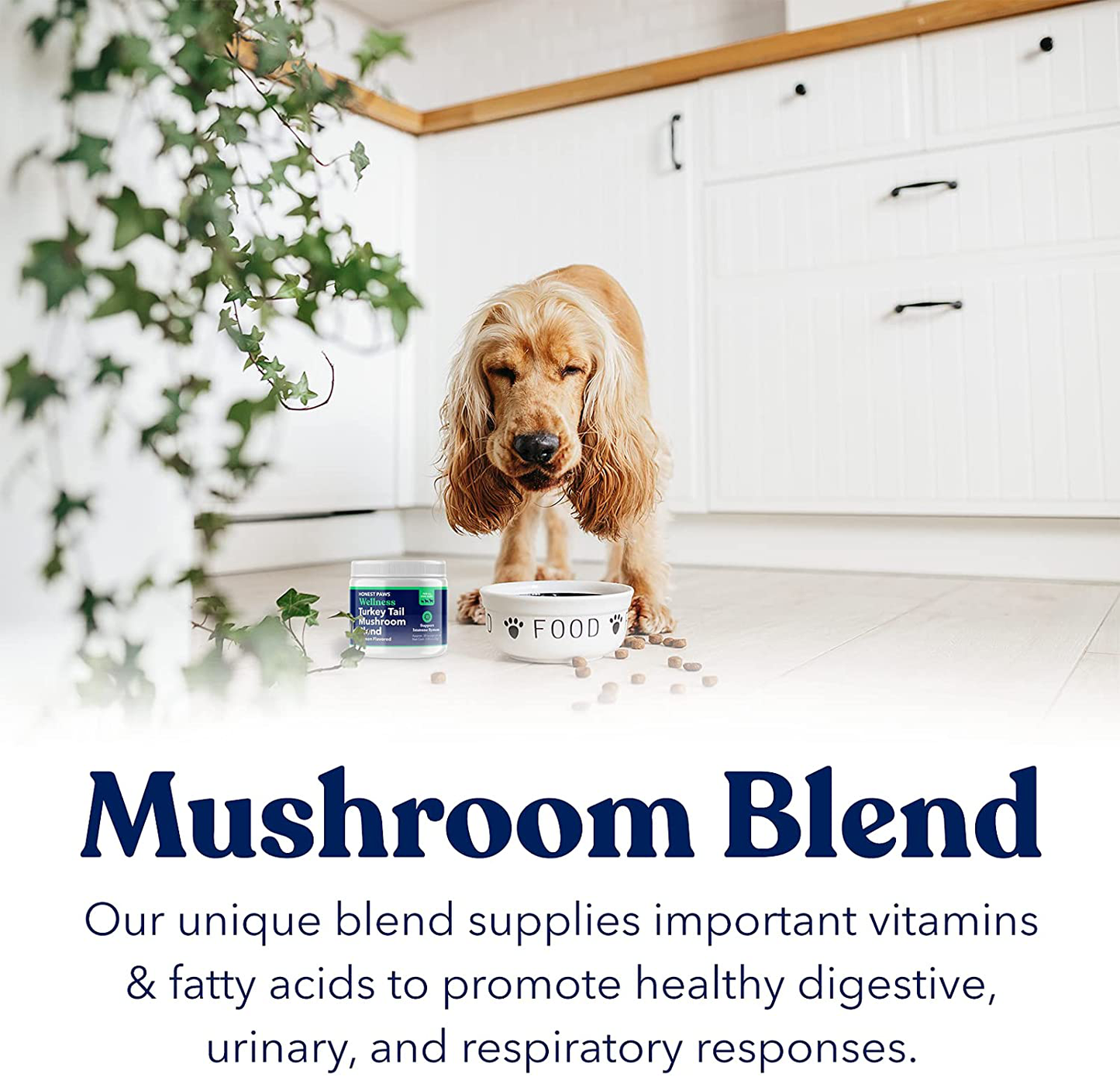 Honest Paws - Dog Turkey Tail Mushroom Blend - Made in USA - Digestive and Immunity Booster for Dogs - Shiitake, Reishi, Maitake Mushroom Extract Formula - No Filler, No Additives (1.5 oz)