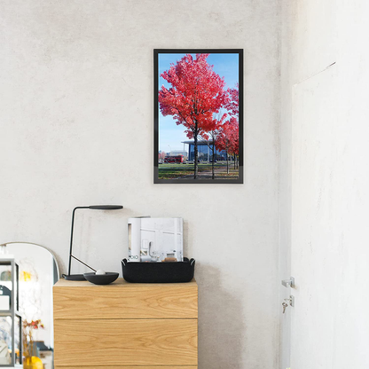 Medog 11 by 17 Picture Frame without Mat to Display picture 11x17 Wall Mounting Document Certificate Frames If Add Mat Can As 11x14 10x14 9x11 10x12 7x11 Picture Frame 11x17