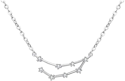 925 Sterling SilverCZ Horoscope Zodiac 12 Constellation Astrology Pendant Necklace for Women Girls Teen Girls and Kids Birthday Gift