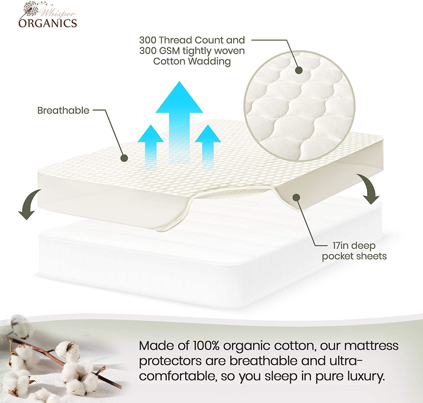 Whisper Organics 100% Organic Cotton Quilted Mattress Cover, 17" Deep - GOTS Certified (Twin)