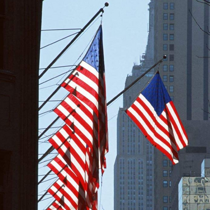 USA Polyester Flag with Brass Grommets 3x5 Ft Vivid Color and UV Fade Resistant