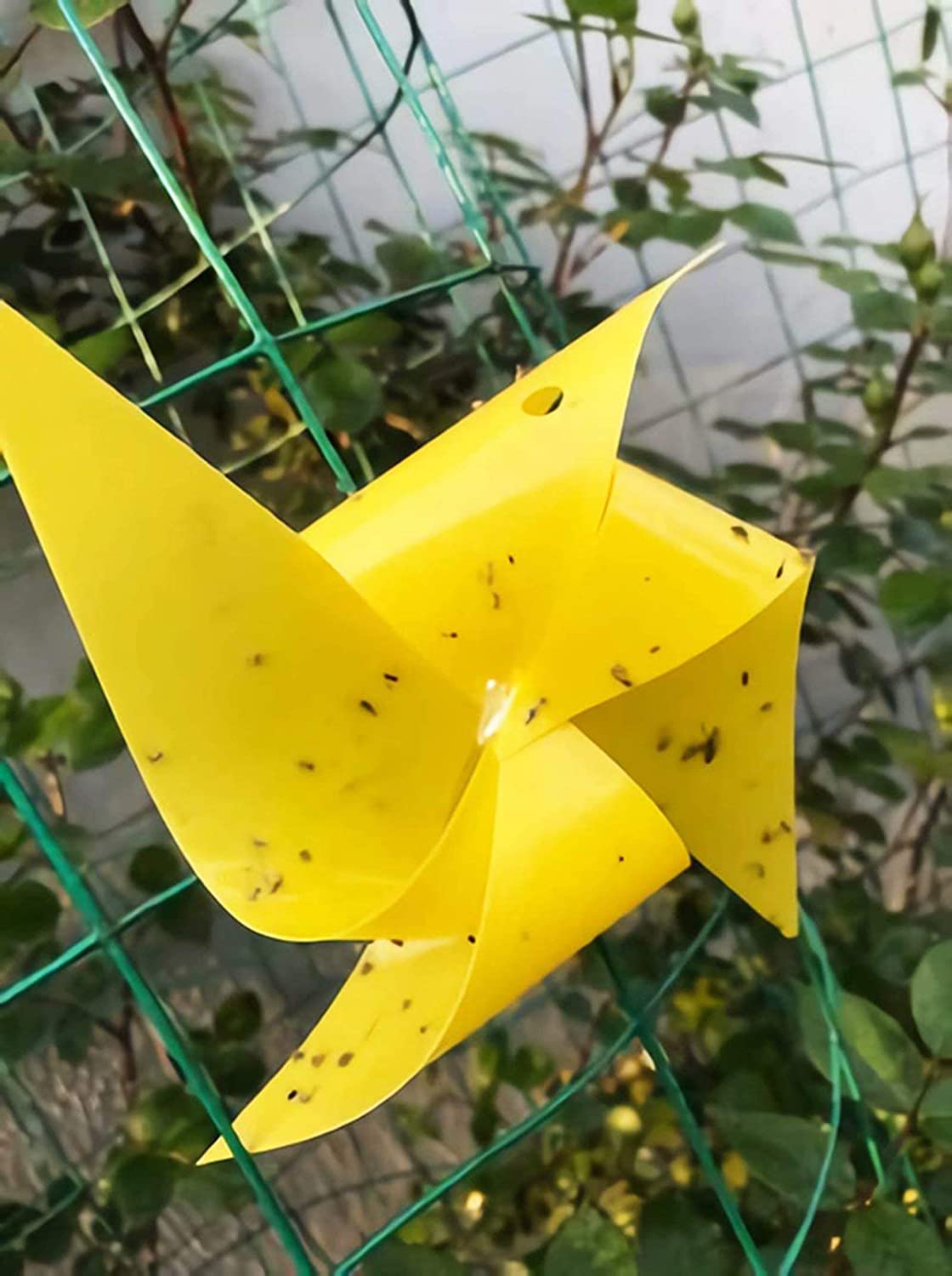 20 Pack Dual-Sided Yellow Sticky Traps for Flying Plant Insect Like Fungus Gnats, Aphids, Whiteflies, Leafminers