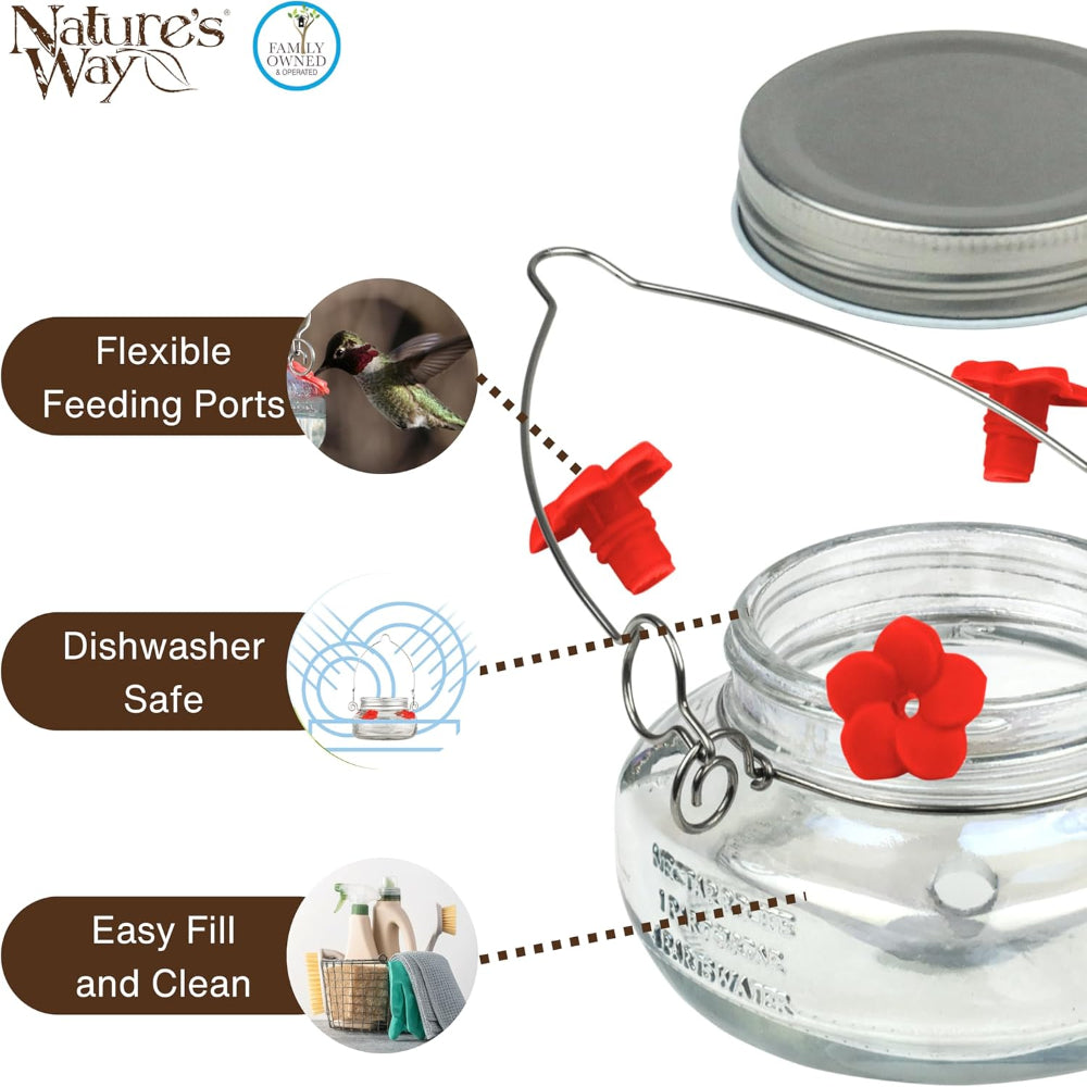 Hummingbird Feeder – Mason Jar Glass Dish Feeder for Outdoor Garden Bird Feeding