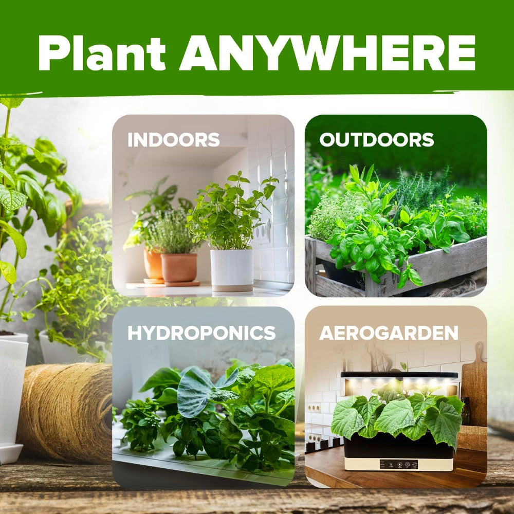 Variety Herb Seeds Kit – 3000+ Heirloom Non GMO Seeds, Indoor Outdoor Planting