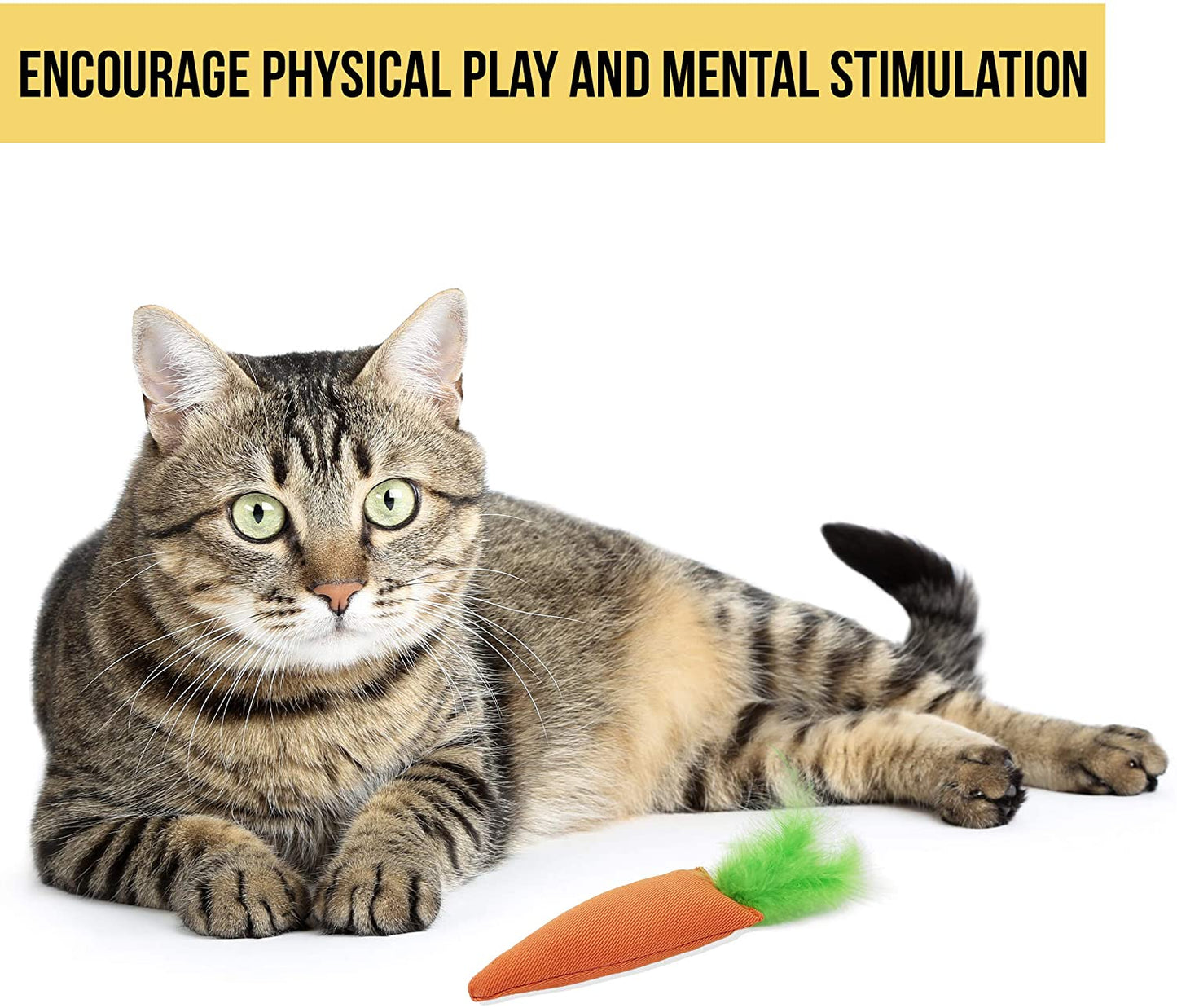 OurPets 100 Percent North American Catnip Filled Cat Toys (Interactive Cat Toys for Indoor Cats, Kitten Toy,Cat Chew Toy & Catnip Toys for Cats) Great for Cats who Enjoy Catnip & Interactive Cat Toys