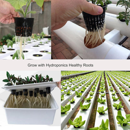 12-Pack Net Cups Pots – 3 Inch Hydroponic Mesh Planters with Wick System & Plant Labels