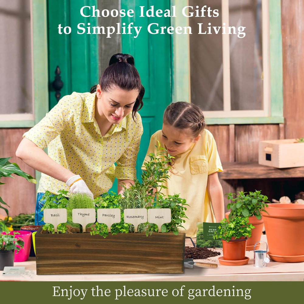 5-Pack Herb Garden Planter Kit – Indoor Kitchen Growing Use – Wooden Box with Basil, Thyme, Parsley, Rosemary & Mint Seeds – Home Gardening Gift Set