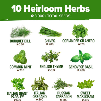 Variety Herb Seeds Kit – 3000+ Heirloom Non GMO Seeds, Indoor Outdoor Planting