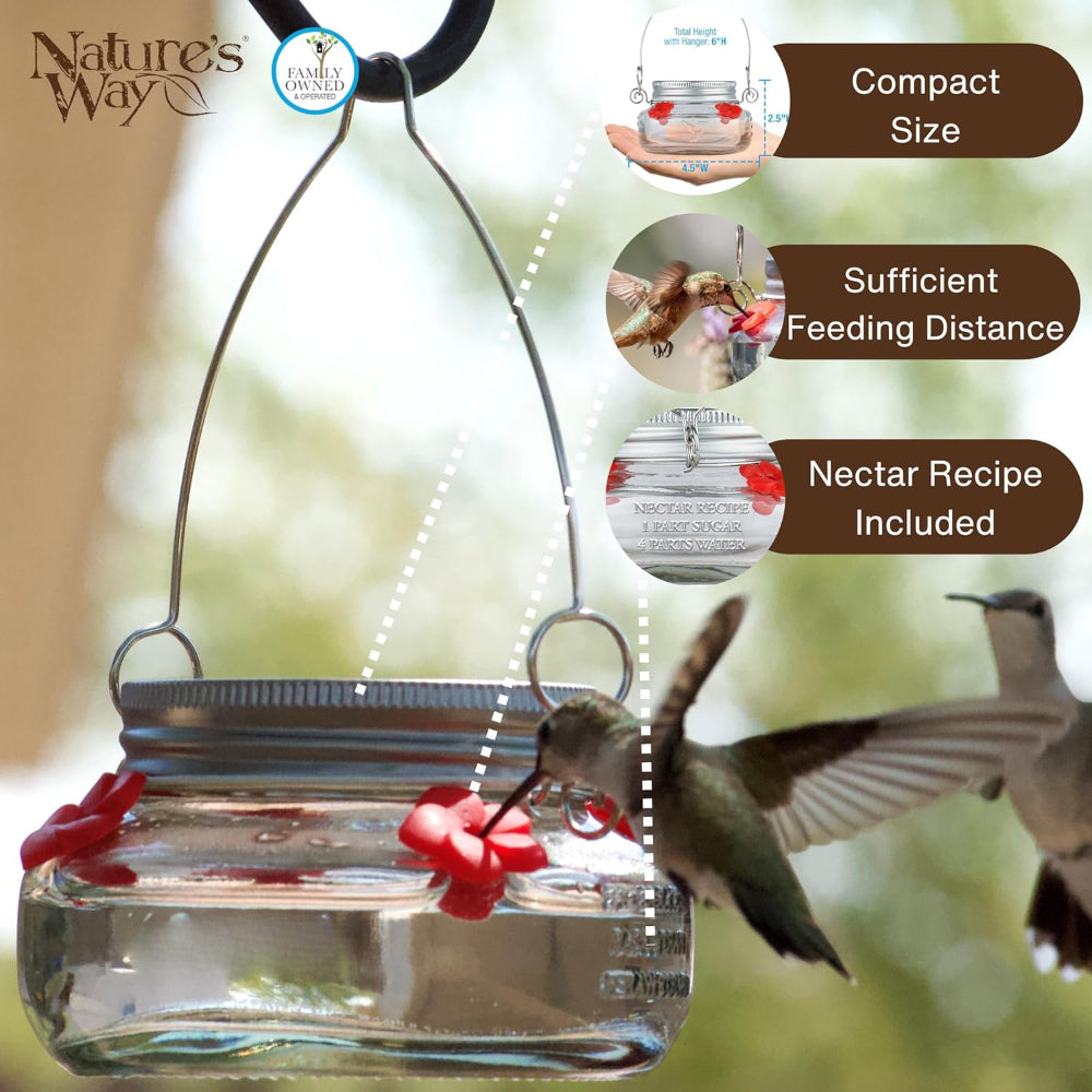 Hummingbird Feeder – Mason Jar Glass Dish Feeder for Outdoor Garden Bird Feeding
