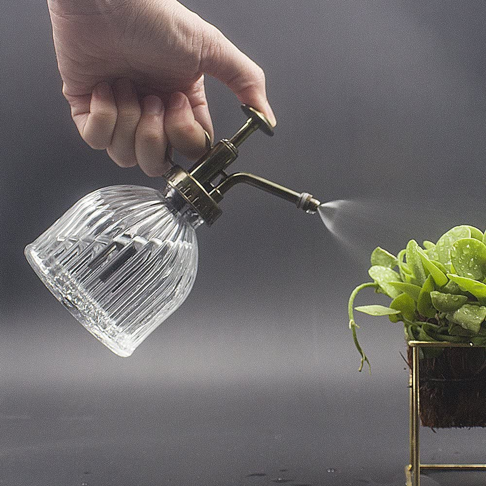 Glass Plant Mister Spray Bottle, 6.5" Tall Vintage Glass Watering Spray Bottle with Top Pump, Small Watering Can Indoor for Succulents - Clear