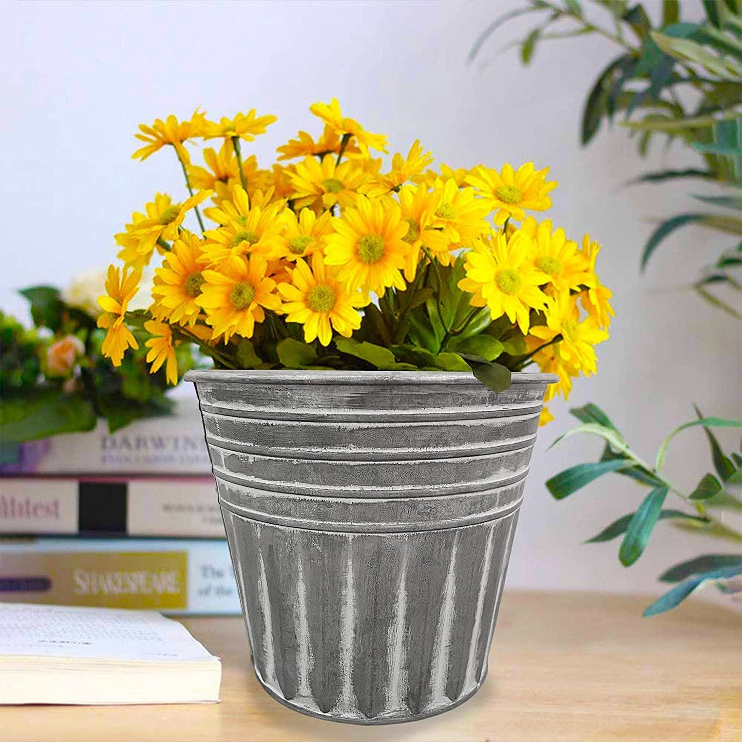 Set of 3 Metal Basket Bucket Farmhouse Planters