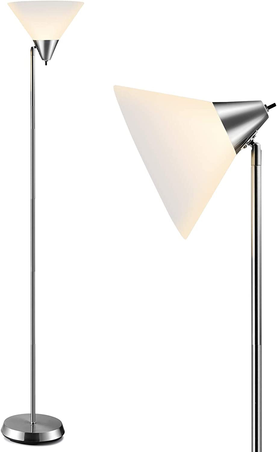 Floor Lamp With Adjustable Head And Arcylic Shade 
