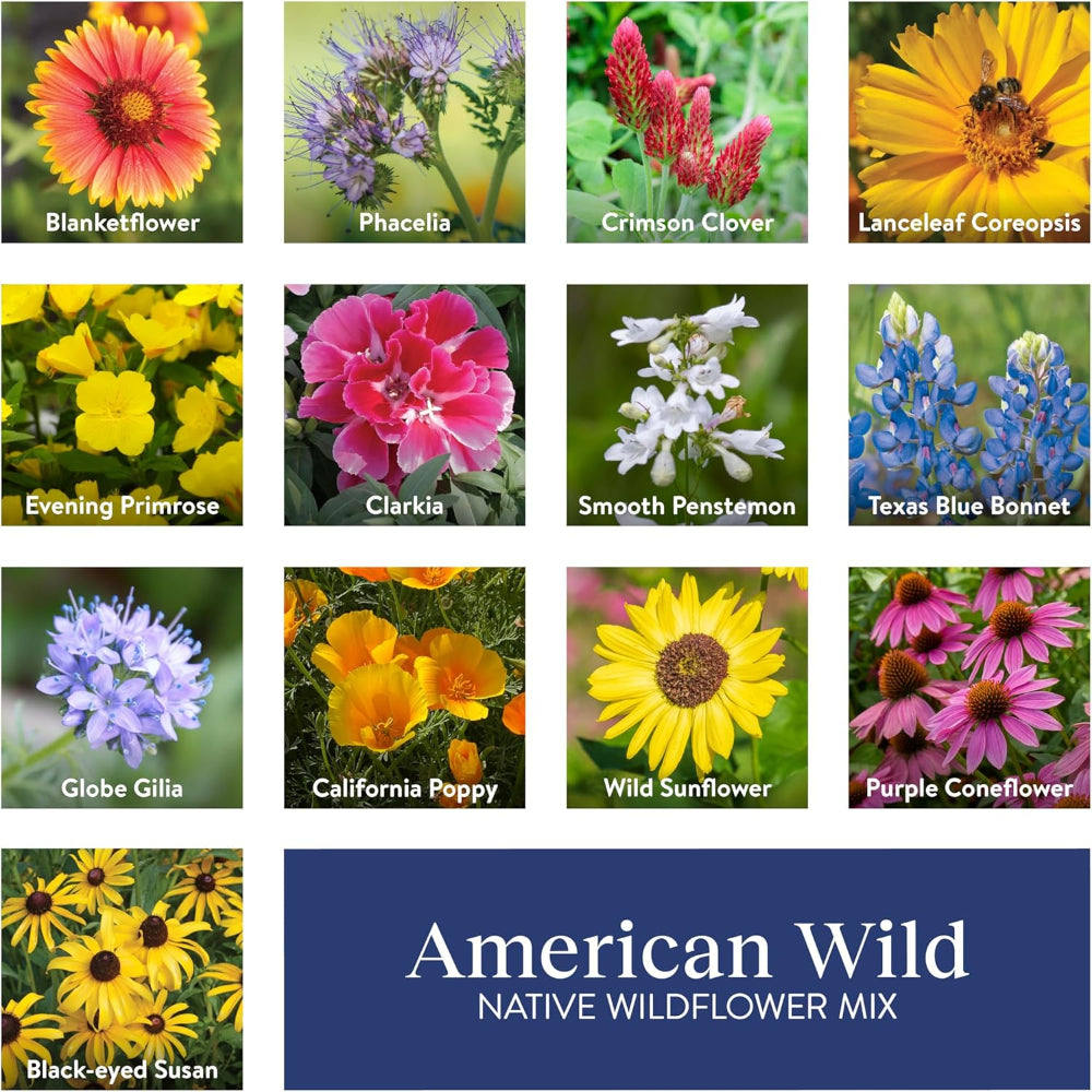 25,000 Wildflower Seeds Bulk Mix – Variety Non-GMO Pollinator Garden Blend
