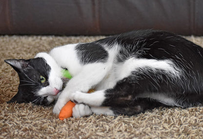 OurPets 100 Percent North American Catnip Filled Cat Toys (Interactive Cat Toys for Indoor Cats, Kitten Toy,Cat Chew Toy & Catnip Toys for Cats) Great for Cats who Enjoy Catnip & Interactive Cat Toys