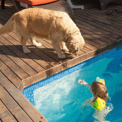 Waterproof Memory Foam Pet Bed