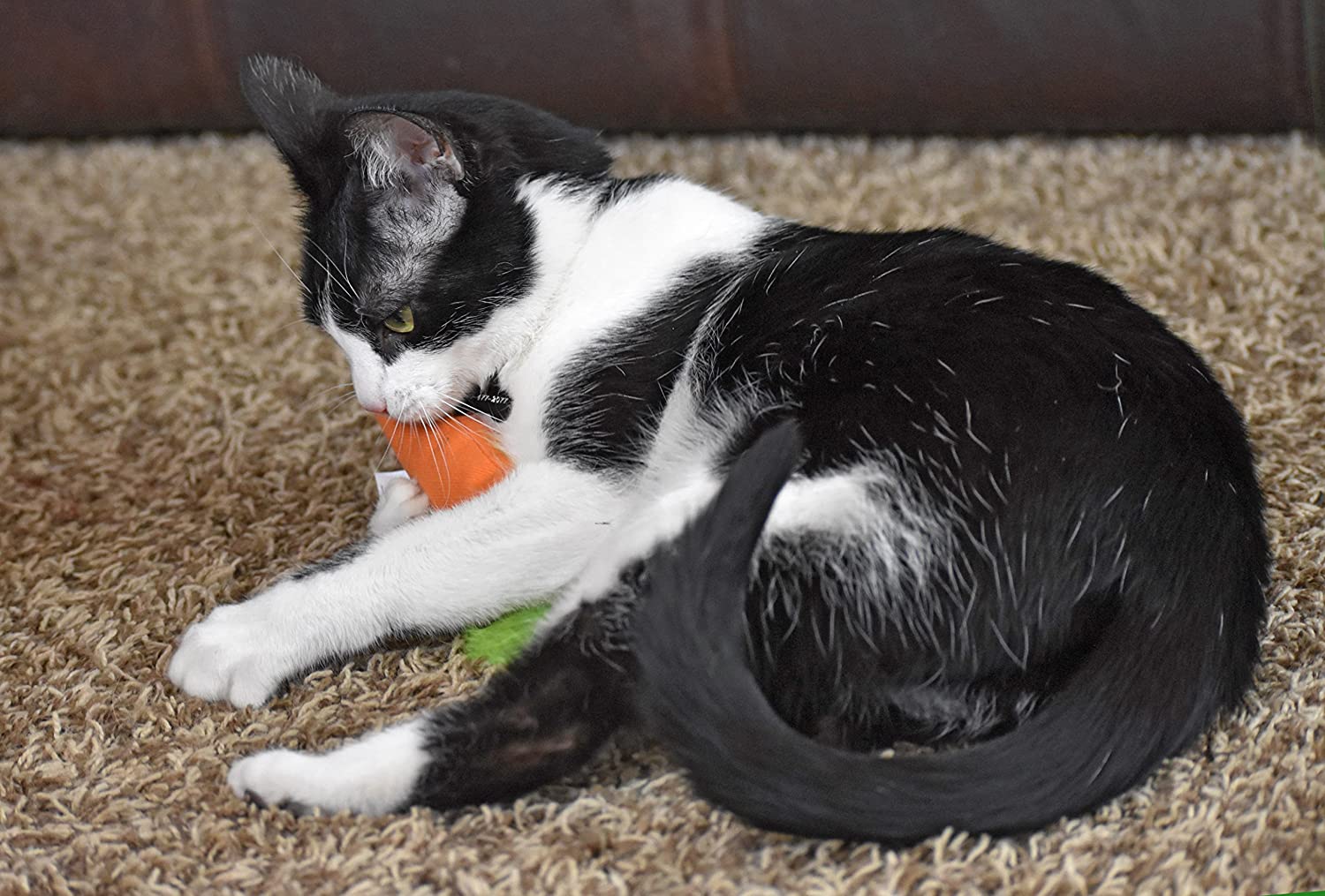 OurPets 100 Percent North American Catnip Filled Cat Toys (Interactive Cat Toys for Indoor Cats, Kitten Toy,Cat Chew Toy & Catnip Toys for Cats) Great for Cats who Enjoy Catnip & Interactive Cat Toys
