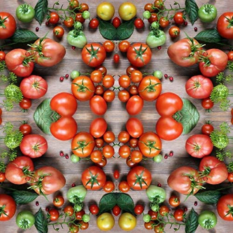 Vegetable Tomato Kaleidoscope Variety Mix (from Small to Giant) - 50 Seeds