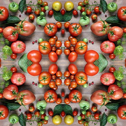  Vegetable Tomato Kaleidoscope Variety Mix (from Small to Giant) - 50 Seeds