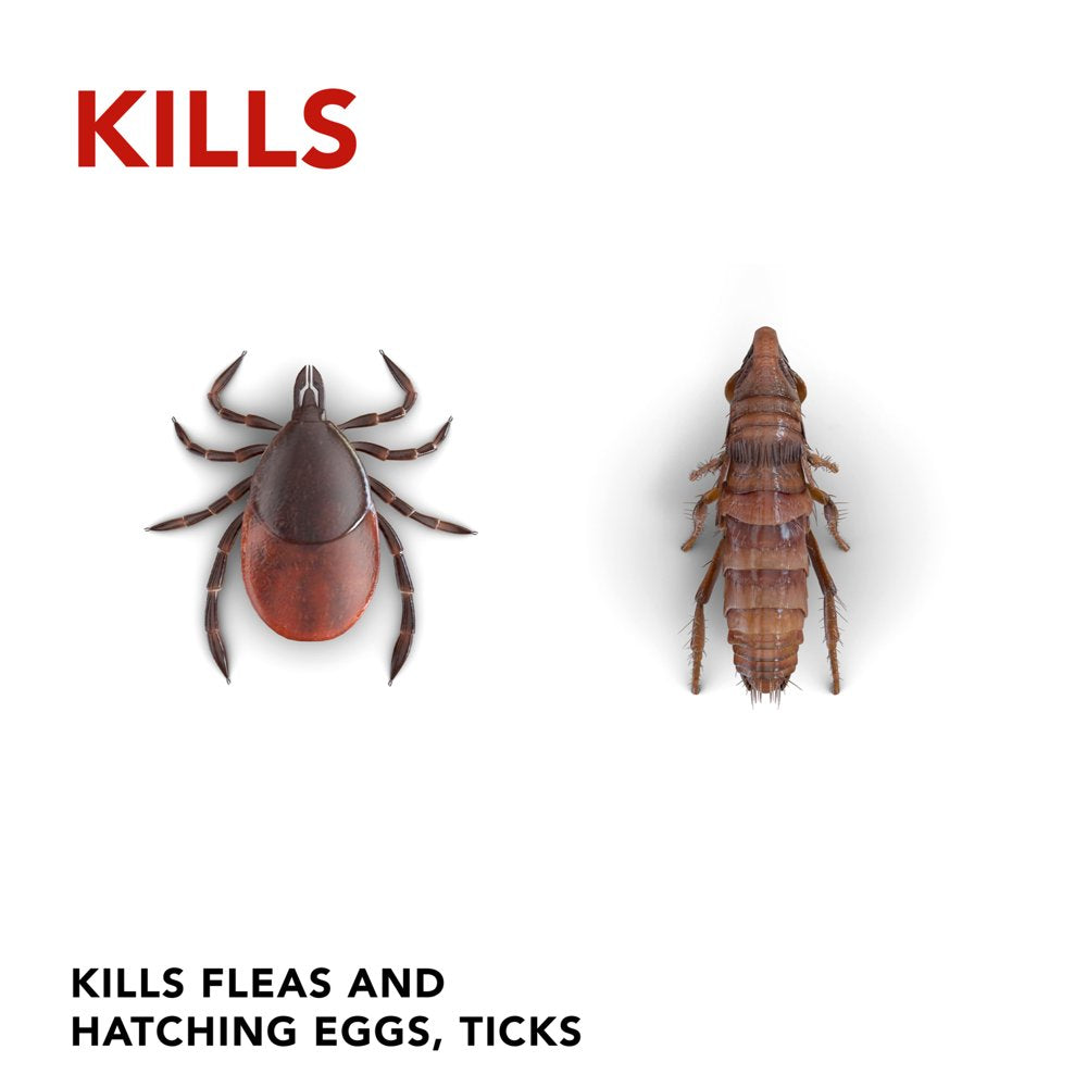 Raid Flea Killer plus Carpet & Room Spray, 16 Oz