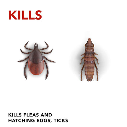Raid Flea Killer plus Carpet & Room Spray, 16 Oz