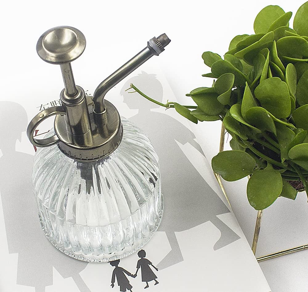 Glass Plant Mister Spray Bottle, 6.5" Tall Vintage Glass Watering Spray Bottle with Top Pump, Small Watering Can Indoor for Succulents - Clear