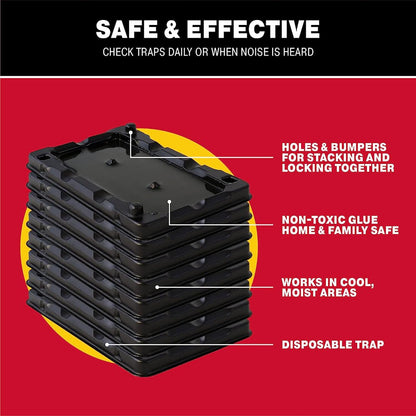  Mouse and Insect Glue Traps (8 Traps) Indoors Ready - Non-Toxic