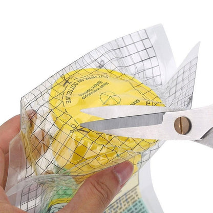 Multi-Pack 100% Guaranteed Fly & Mosquito Outdoor Trap