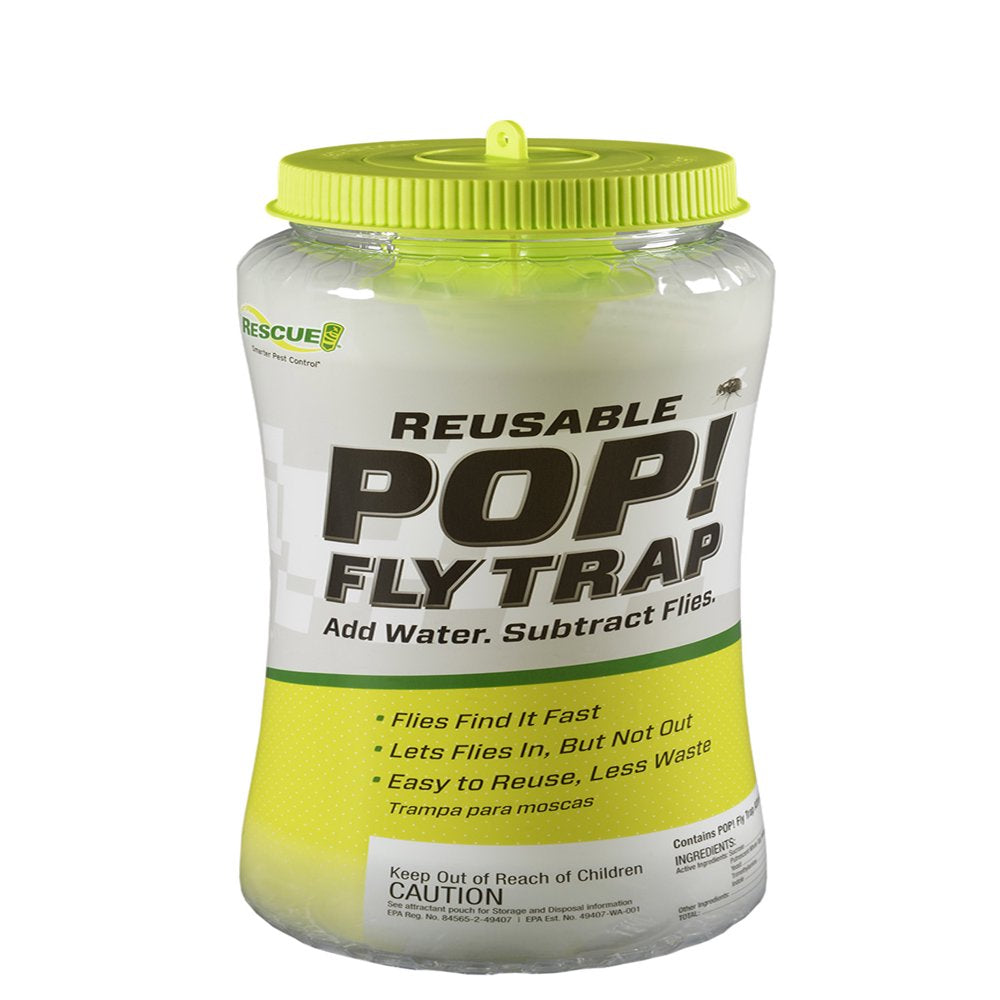  Reusable Outdoor Fly Trap, 1 Pack