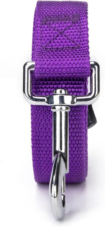 Strong Durable Nylon Dog Training Leash, Traction Rope, 10 Feet Long, 1 Inch Wide, for Small and Medium Dog 