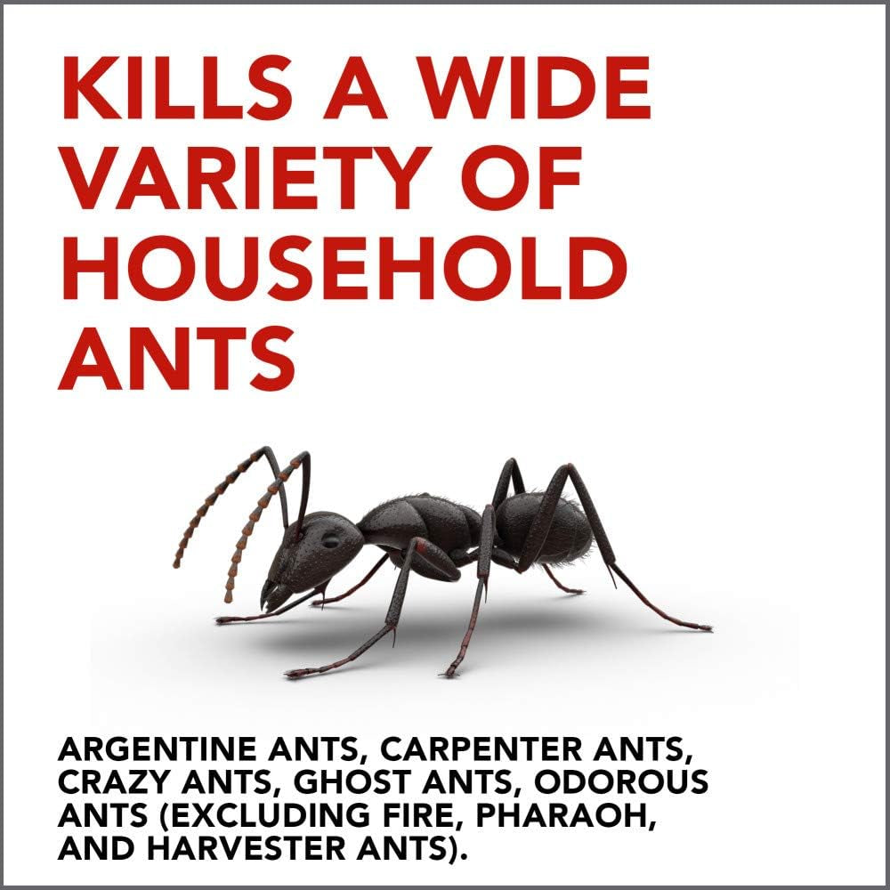 Raid Ant Gel, Continues Killing for up to 1 Month 