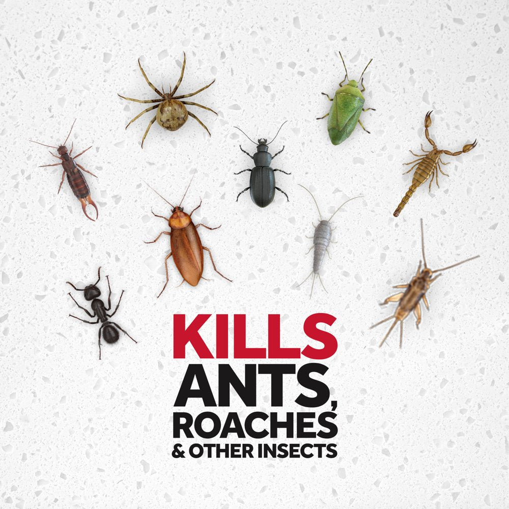 Raid Ant & Roach Killer 26, Outdoor Fresh Scent, 20 Oz, 2 Ct