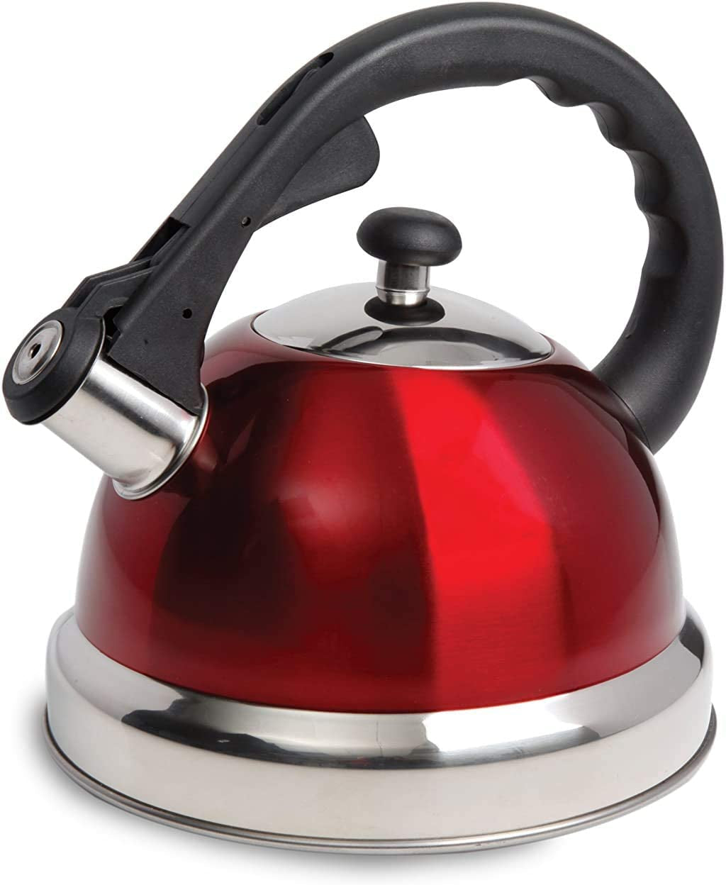 Mr. Coffee Stainless Steel Whistling Tea Kettle