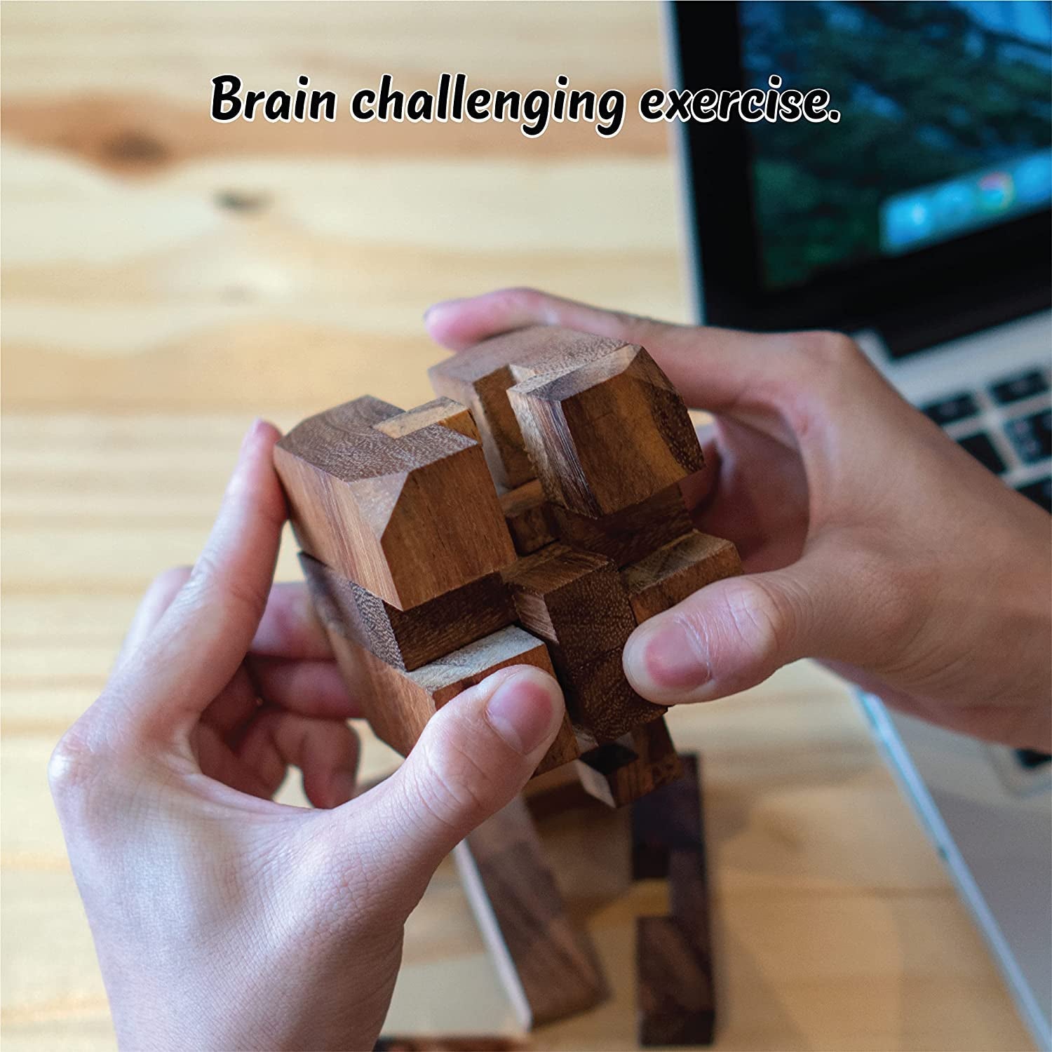 Brain Teaser Puzzles for Adults 