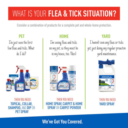 Adams Flea & Tick Cleansing Shampoo for Cats and Dogs, 12 Oz