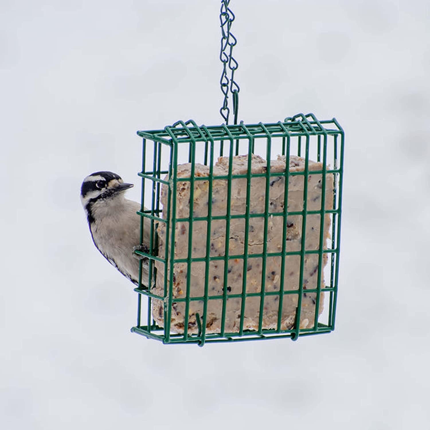  EZ Fill Suet Basket