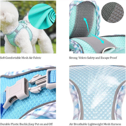 Step in Mesh Dog Harness Vest and Leash Set - Breathable Air Mesh - Reflective - No Choke