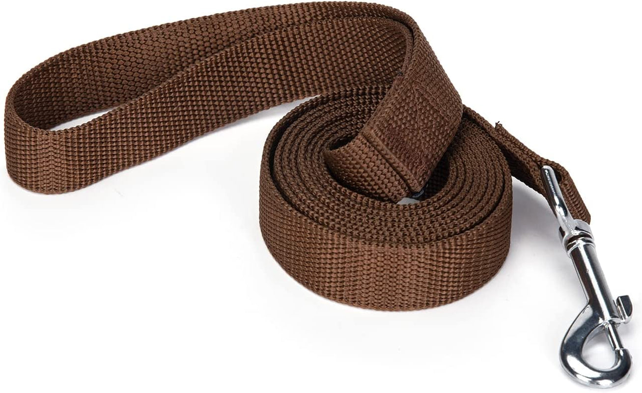 Strong Durable Nylon Dog Training Leash, Traction Rope, 10 Feet Long, 1 Inch Wide, for Small and Medium Dog 