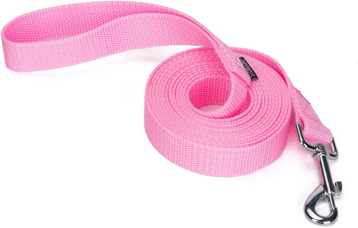 Strong Durable Nylon Dog Training Leash, Traction Rope, 10 Feet Long, 1 Inch Wide, for Small and Medium Dog 