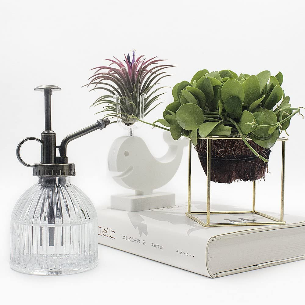 Glass Plant Mister Spray Bottle, 6.5" Tall Vintage Glass Watering Spray Bottle with Top Pump, Small Watering Can Indoor for Succulents - Clear