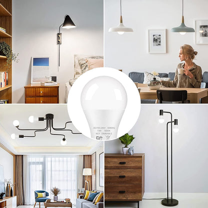 12-Pack A19 LED Light Bulbs, 100W Equivalent Bulbs, 13W 5000K Daylight White LED Bulbs with Standard E26 Medium Base
