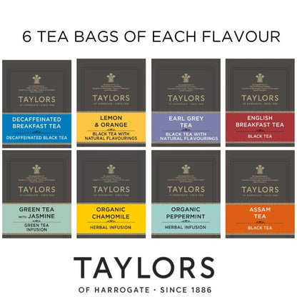 Taylors of Harrogate Assorted Specialty Teas - Box of 48 count
