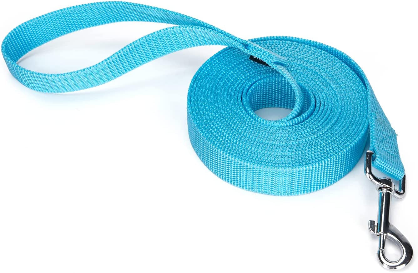 Strong Durable Nylon Dog Training Leash, Traction Rope, 10 Feet Long, 1 Inch Wide, for Small and Medium Dog 