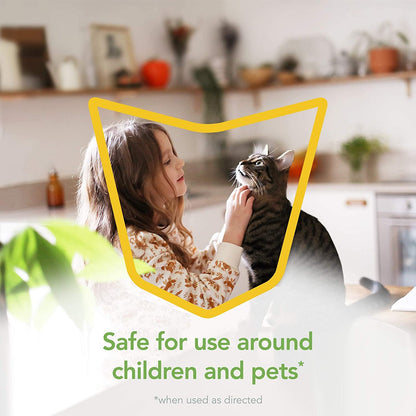 Raid Essentials Multi-Insect Killer Spray Bottle, Child & Pet Safe, for Indoor Use, 12 oz